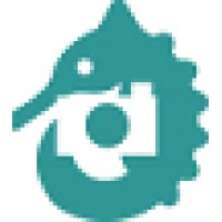 DYNAMIC MEMORY SOLUTIONS logo - Similar company to Start Up Sit Down