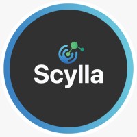 Scylla One logo - Similar company to Erasys Limited