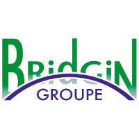 GROUPE BRIDGIN logo - Similar company to Instruments By Lepont