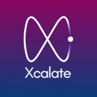 Xcalate Consulting logo - Similar company to Protego Chile
