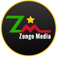 Zongo Media logo - Similar company to Media Literacy Development Foundation