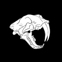 Tooth N’ Fang