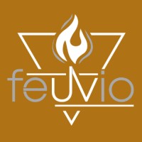 Feuvio logo - Similar company to Vtx Consulting Services Inc.