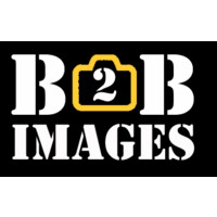 B2BImages logo - Similar company to Headgen.Ai