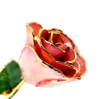 The Forever Rose logo - Similar company to Rose Forever New York