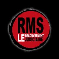 RMS RECOUVREMENT logo - Similar company to Bringer Ip