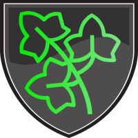 Ivy Cyber