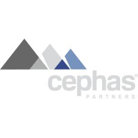 Cephas Partners logo - Similar company to Bruster Pllc