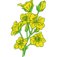 Den Goda Jorden logo - Similar company to Sigill