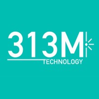 313M Technology logo - Similar company to Castsoft
