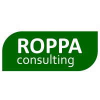 ROPPA CONSULTING logo - Similar company to Roppa Info