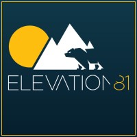 Elevation81™ logo - Similar company to Axs Consulting - Scaffold Engineering