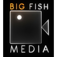 Big Fish Media Sdn Bhd logo - Similar company to Luminousars Studio