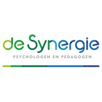 de Synergie logo - Similar company to Pkn