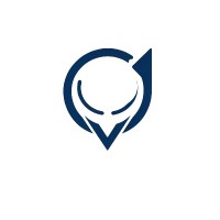 Vision-Agile logo - Similar company to Vdistri Solutions