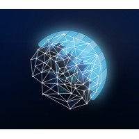 DePronto Infotech logo - Similar company to Editys Technology