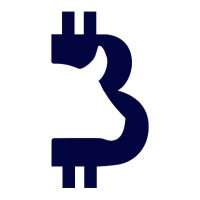 Boon Investments logo - Similar company to Collateral Velocity, Inc.