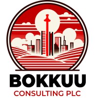 Bokkuu Consulting Plc logo - Similar company to Mikada