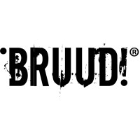 BRUUD! logo - Similar company to Matrixgames