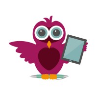 Business Owl logo - Similar company to Blue Selenium Solar, Inc