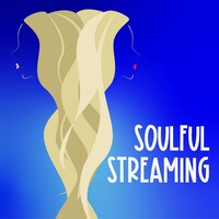 Soulful Streaming logo - Similar company to Building Reserves, Inc.