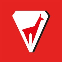Vola Racing logo - Similar company to Adn Group