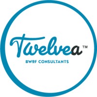 Twelvea Limited logo - Similar company to Nolen Walters