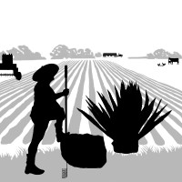 Victory Farming LLC logo - Similar company to Compass Health Administrators