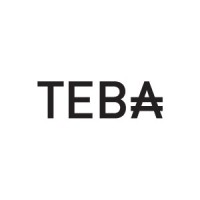 TEBA TEKSTIL SAN. VE TIC .A.S logo - Similar company to Etiteks Teknik Dokuma