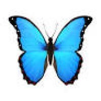 Monarch Migrations logo - Similar company to Layer