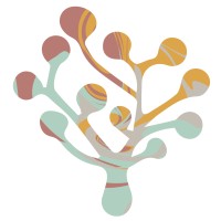 noesun logo - Similar company to Spiga Comunicación