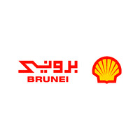 Brunei Shell Petroleum Co. Sdn. Bhd. logo - Similar company to Dcs Services Sdn Bhd