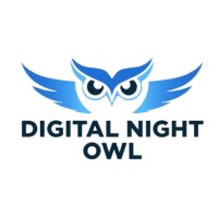 Digital Night Owl logo - Similar company to Scriptzenix Technologies