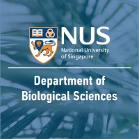 NUS Department of Biological Sciences logo - Similar company to Nus.Ai