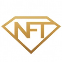 NFTmall logo - Similar company to Groovy Developer