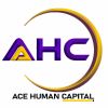Ace Human Capital logo - Similar company to Workforce Consulting