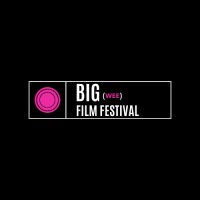 BIG (wee) Film Festival logo - Similar company to Rfd