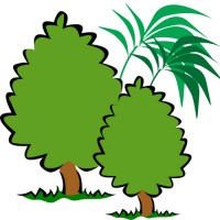 Pin Services Private Limited logo - Similar company to Remote Developer