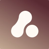 ASVEL logo - Similar company to Poligate Branding Studio
