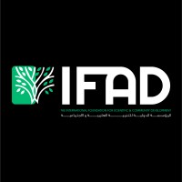 International Foundation for Scientific & Community Development - IFAD logo - Similar company to Ibdaa Academy For Training & Consulting