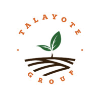 Talayote Group logo - Similar company to Bot Latam