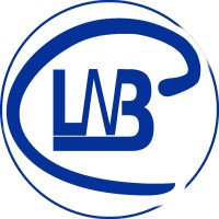 LNB Consulting logo - Similar company to Lbn Consulting