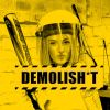 Demolish*t logo - Similar company to Oscare Vzw