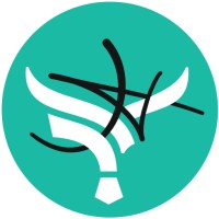 CuriousHawk logo - Similar company to Adsmart