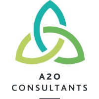 A2O CONSULTANTS LIMITED logo - Similar company to Twosb Management Systems