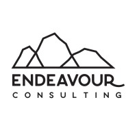 Endeavour Consulting LLC logo - Similar company to Nobi As