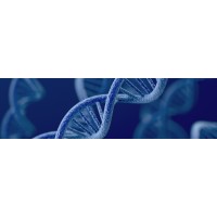 General Probiotics, Inc. logo - Similar company to Southeast Minnesota Capital Fund Llc