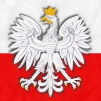 ✅ Polish Network™ logo - Similar company to Polish Women'S Network