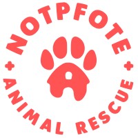 Notpfote Animal Rescue e.V. logo - Similar company to Bulgarian National Animal Rescue Platform - Подай Лапа!