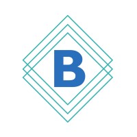 Blue Nile International logo - Similar company to Blue Nile Consulting